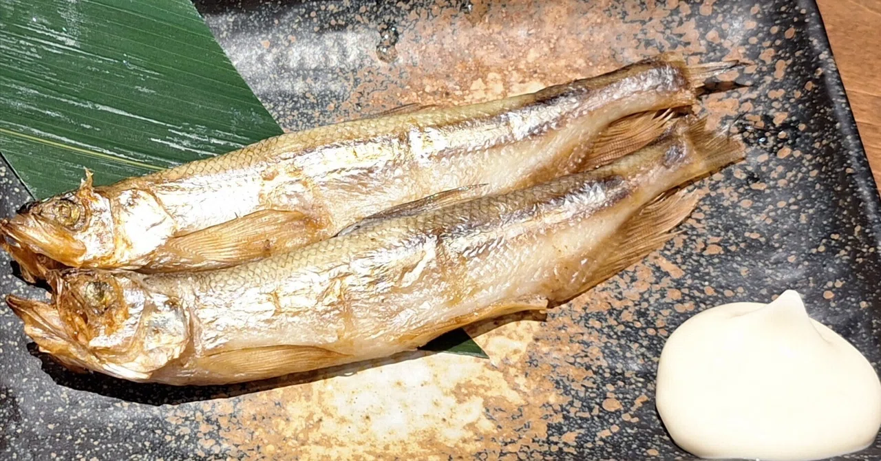 本物のししゃもを味わったら世界が変わった|たびてく@一人旅ガチ勢