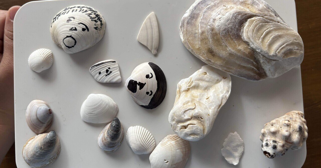 静けさの中にある美しさ / 国立科学博物館「貝殻展」｜井上 乃美