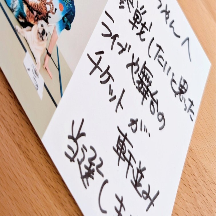 初音ちゃん年賀状”のご利益がすごすぎた話｜ナツメグ