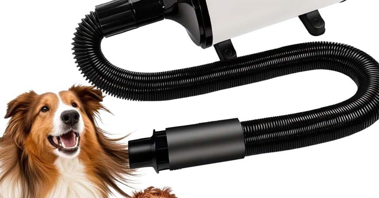 愛犬のための新習慣！QIUYMI犬ドライヤーでストレスフリーな乾燥を