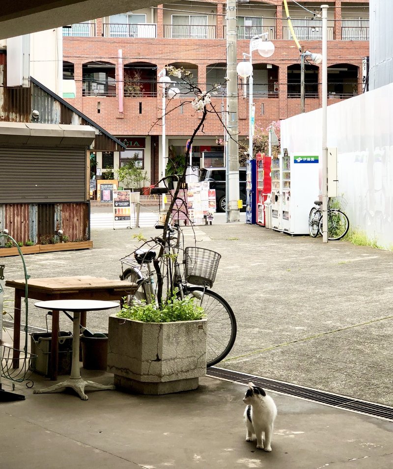 喫茶店の隣でお店をやりたい Shifuku 至福な私服 Note