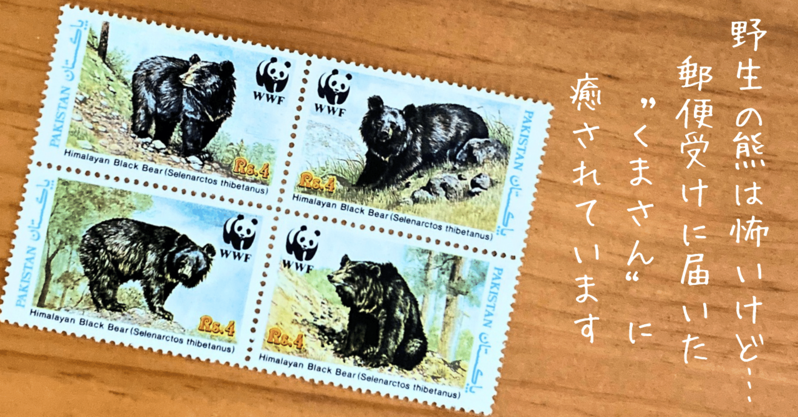 野生の熊は怖いけど… 郵便受けに届いた“くまさん”に癒されています