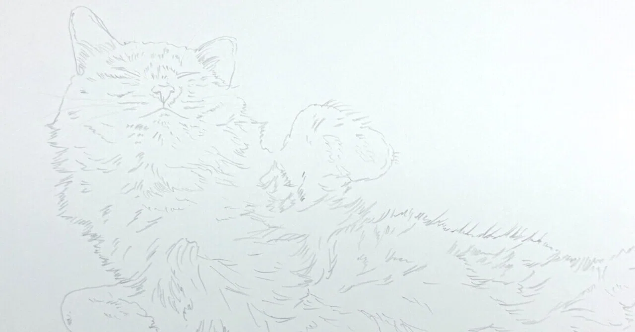 見上げる白猫 イラスト原画　ふんわりとした手触りが伝わる　「白猫」 イラスト素材 フォトライブラリー - [799220] 絵画