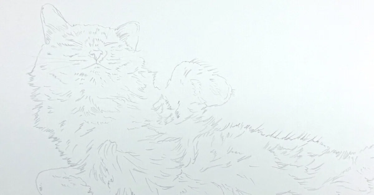 白猫ちゃんを描いていきます｜mamekoro