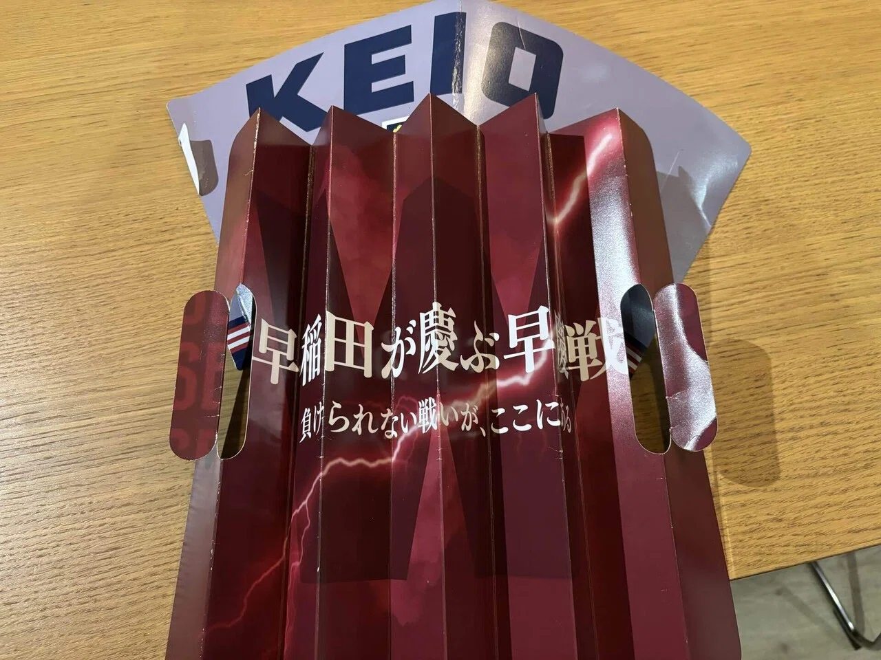 100周年リーグ戦締めくくりはやっぱ早慶戦〜2025年東京六大学野球秋季