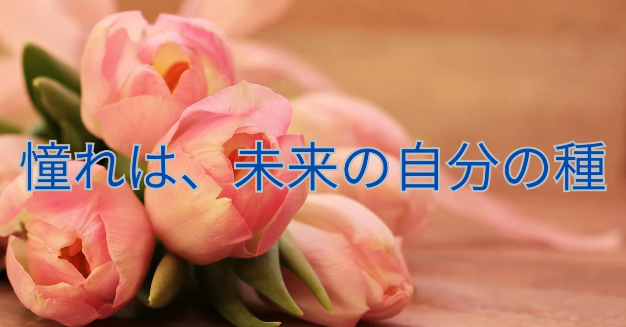 憧れは、未来の自分の種｜りと