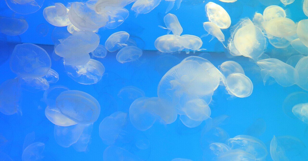 自己紹介？｜naolume