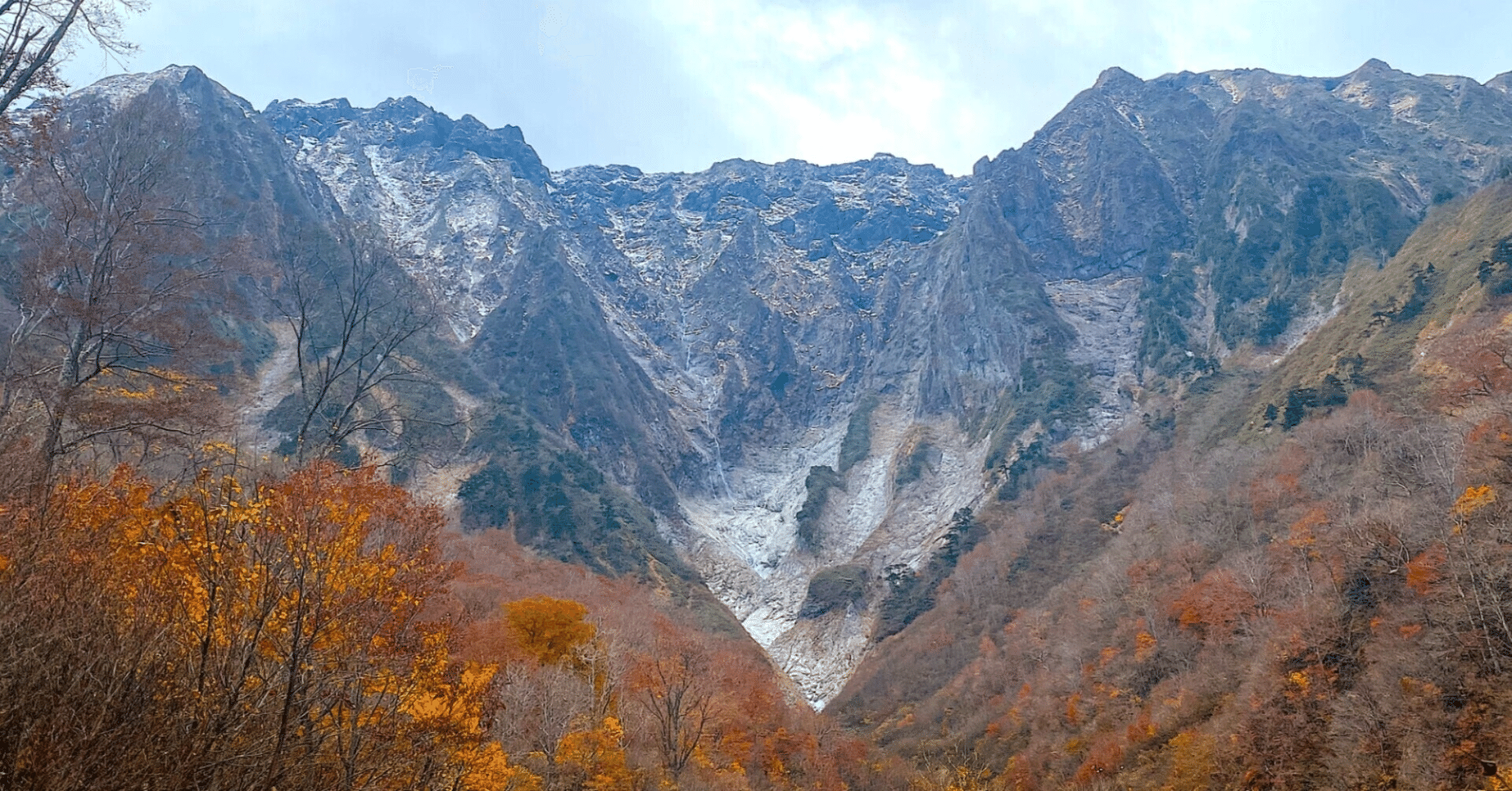 11月７日２１時半、メディシノバは６日まで個人投資家に株を売らせたかったのかもしれないと思う理由。メディシノバ のアナリストレポートの出し方で、個人に売らせたいのだなとわかる。｜kuronekomarimo