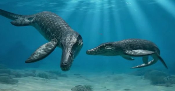 【REBOR】 サーベルタイガー スミロドン マカイロドゥス REBOR】 サーベルタイガー スミロドン マカイロドゥス REBOR