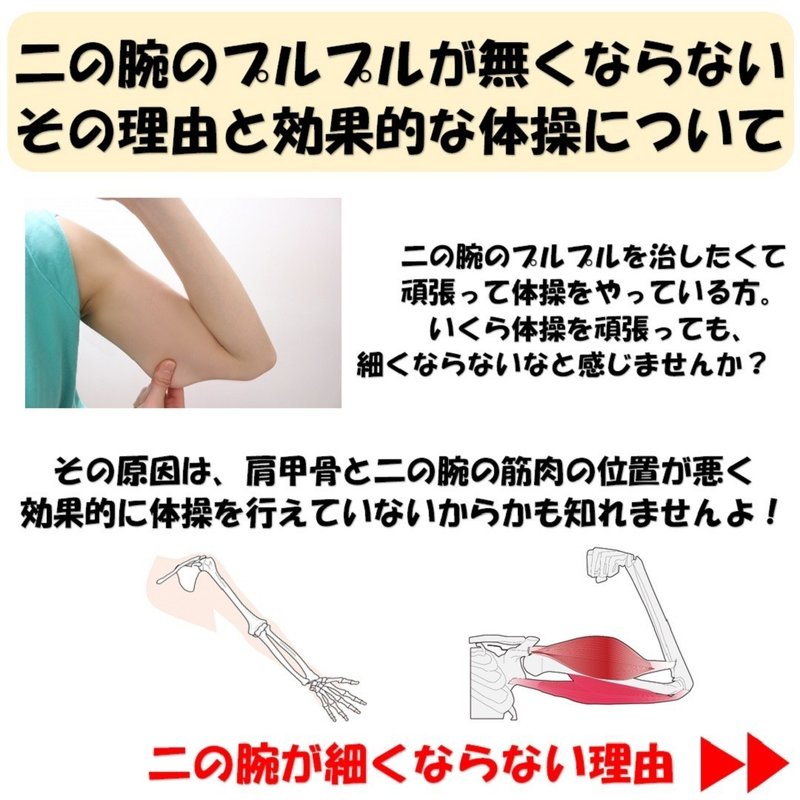 二の腕のプルプルが無くならないその理由と効果的な体操について Revisionginza Note 二の腕のプルプルが無くならないその理由と効果的な体操について Revisionginza Note