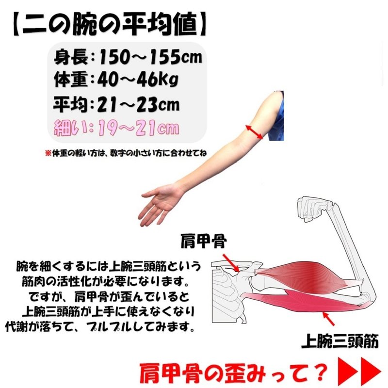 二の腕のプルプルが無くならないその理由と効果的な体操について Revisionginza Note 二の腕のプルプルが無くならないその理由と効果的な体操について Revisionginza Note