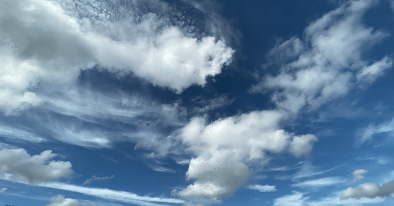 特に理由もなく人は死にたくなるし 特に理由もなく人は死にたくなくなる という話 山中拓磨 note