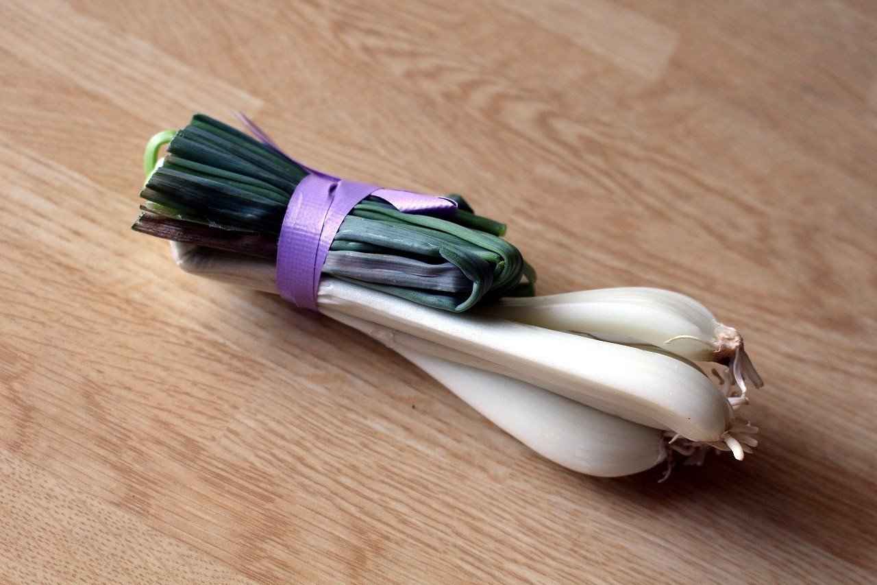 今週の台所 エシャレットとにんじんの塩昆布あえ たみ Note 今週の台所 エシャレットとにんじんの塩昆布あえ たみ Note