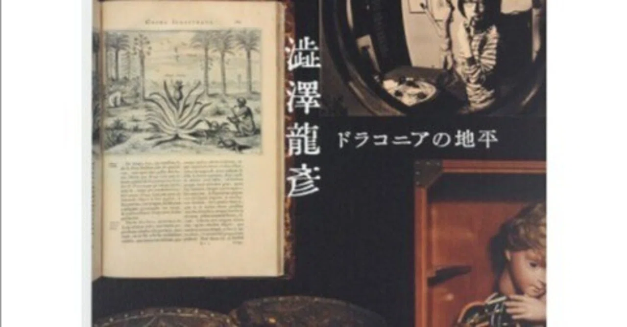 澁澤龍彦の世界観を巡る七つの冒険】玩物喪志の美学―所有と非所有の