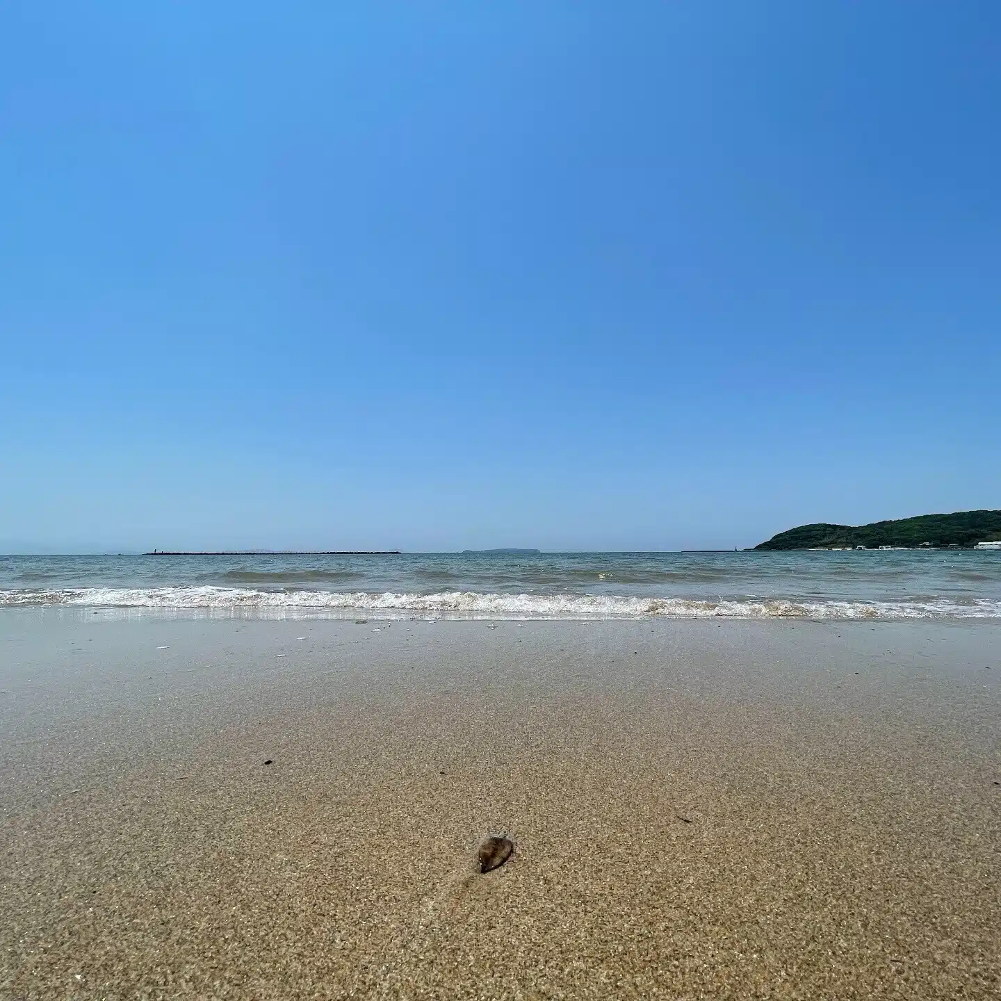 してみたchannel_冴