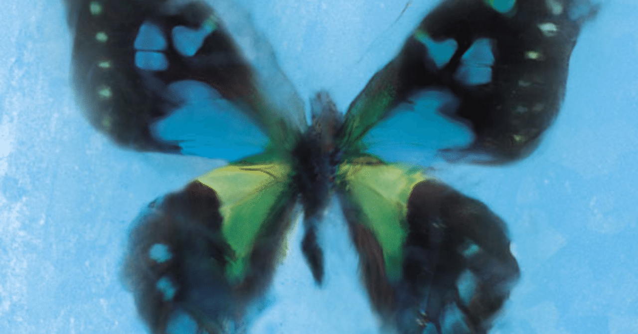 rectangle_large_type_2_e0d7216