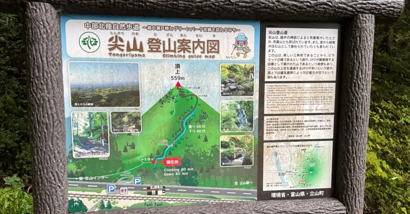 山田秋坪 花図 箱なし MA910 山田秋坪 花図 箱なし MA910 雄大な風景が