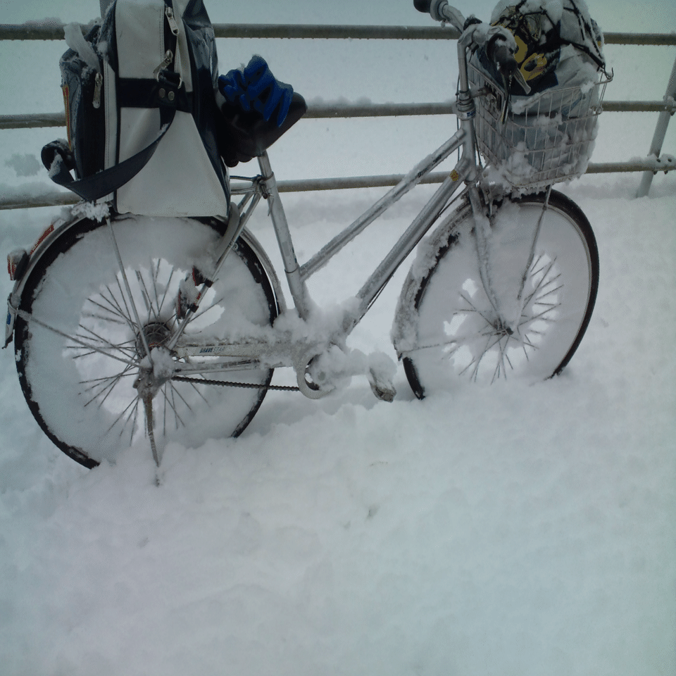 近づく冬と美しいニューヨークの夕焼け🌆｜Takaaki Ueno