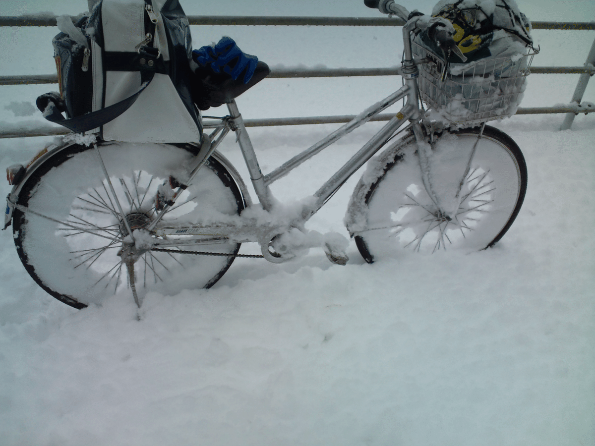 冬　ある日　ニュウヨーク Z-DRAGON】 73800 ストレッチジャンパー[2025年秋冬]通販ページ│自重