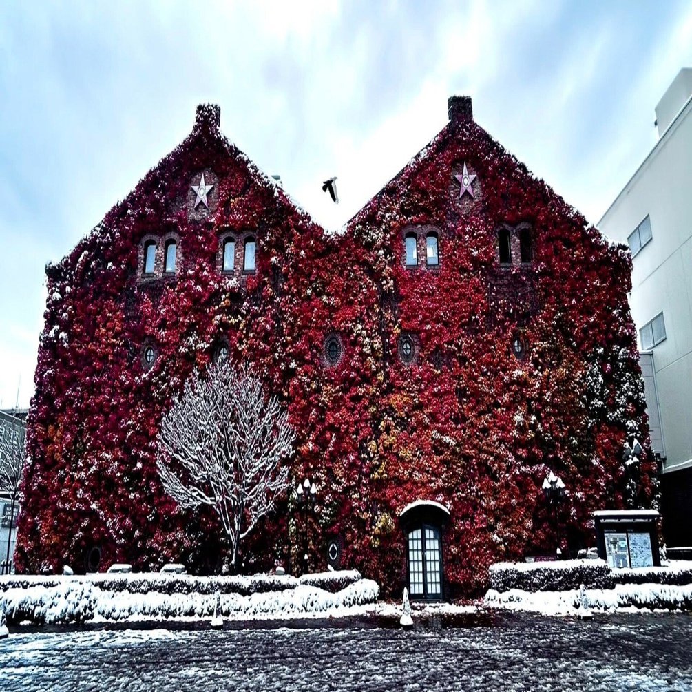 行方不明展 in サッポロファクトリー｜生まれたてのおっさん（山ちゃん）
