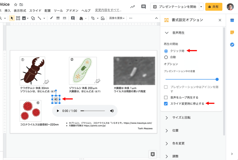 画像23