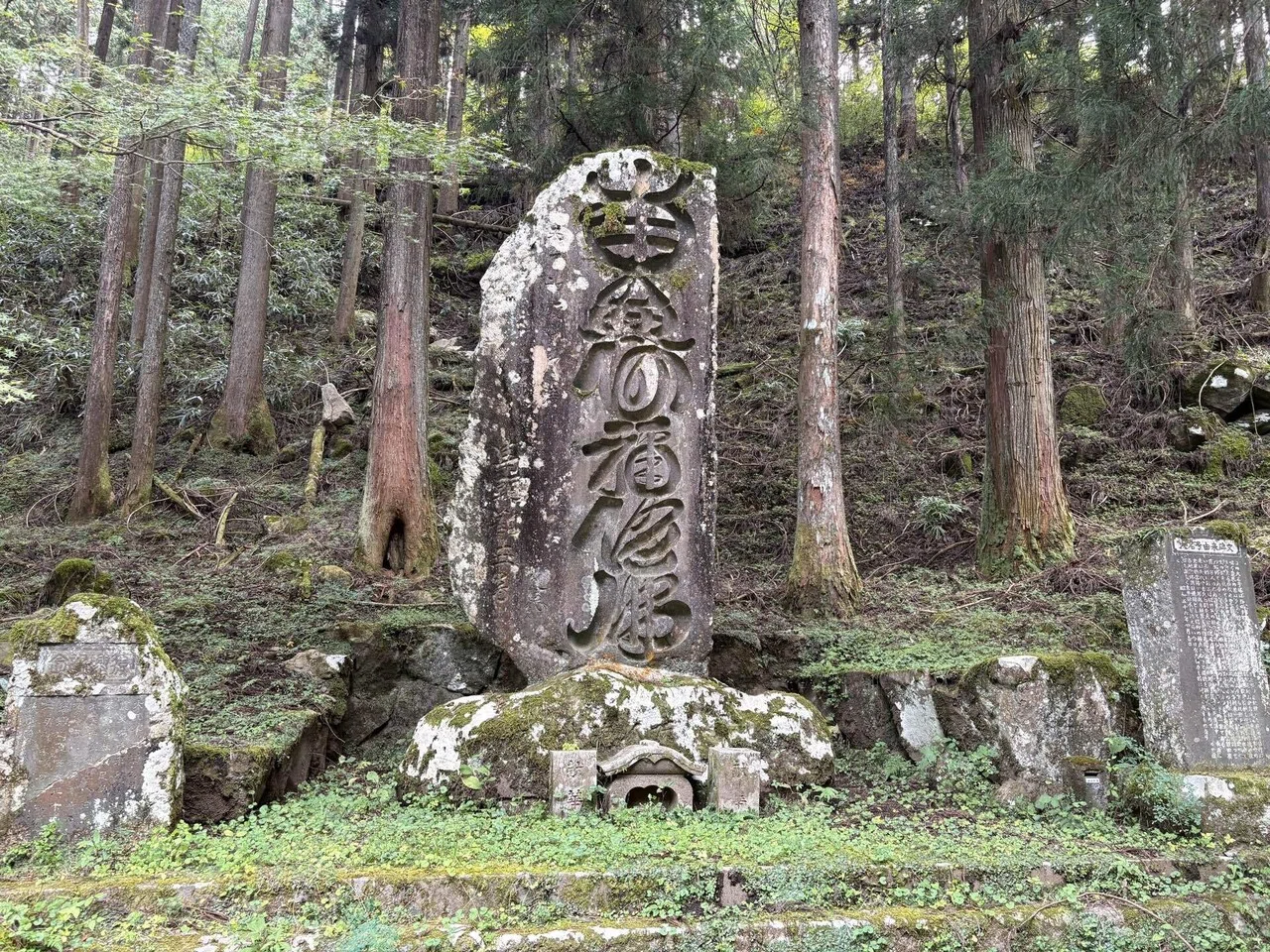 足柄峠｜Kiyofumi