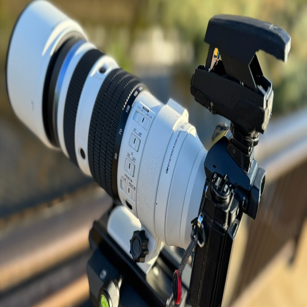 昔のオリンパスのカメラでカワセミを撮る｜物欲＠