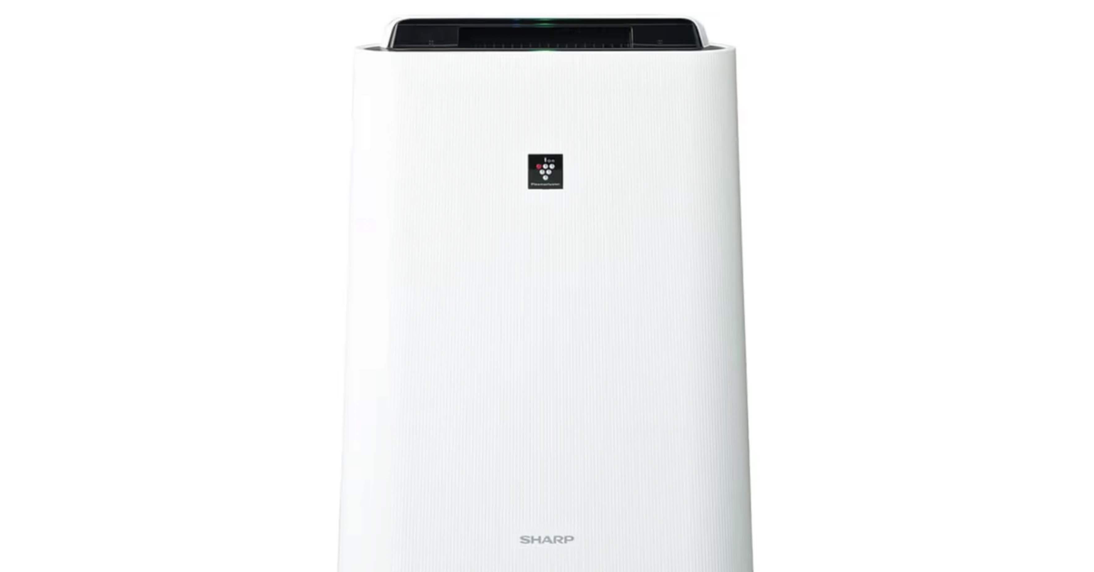 プラズマクラスター KC-S50-W 2025年製　シャープ SHARP KC-S50-W シャープ 加湿空気清浄機 プラズマクラスター7000搭載