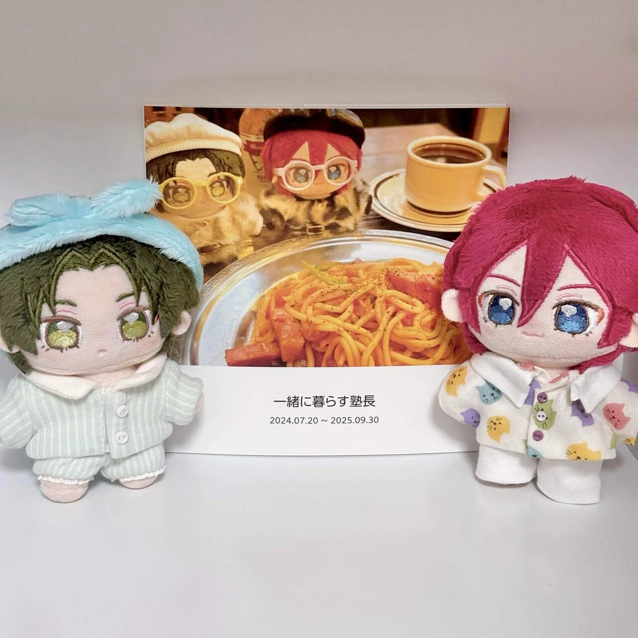 一緒に暮らすぬい(いつぬい)」と一緒に暮らしたら推し活を超えた｜みもり