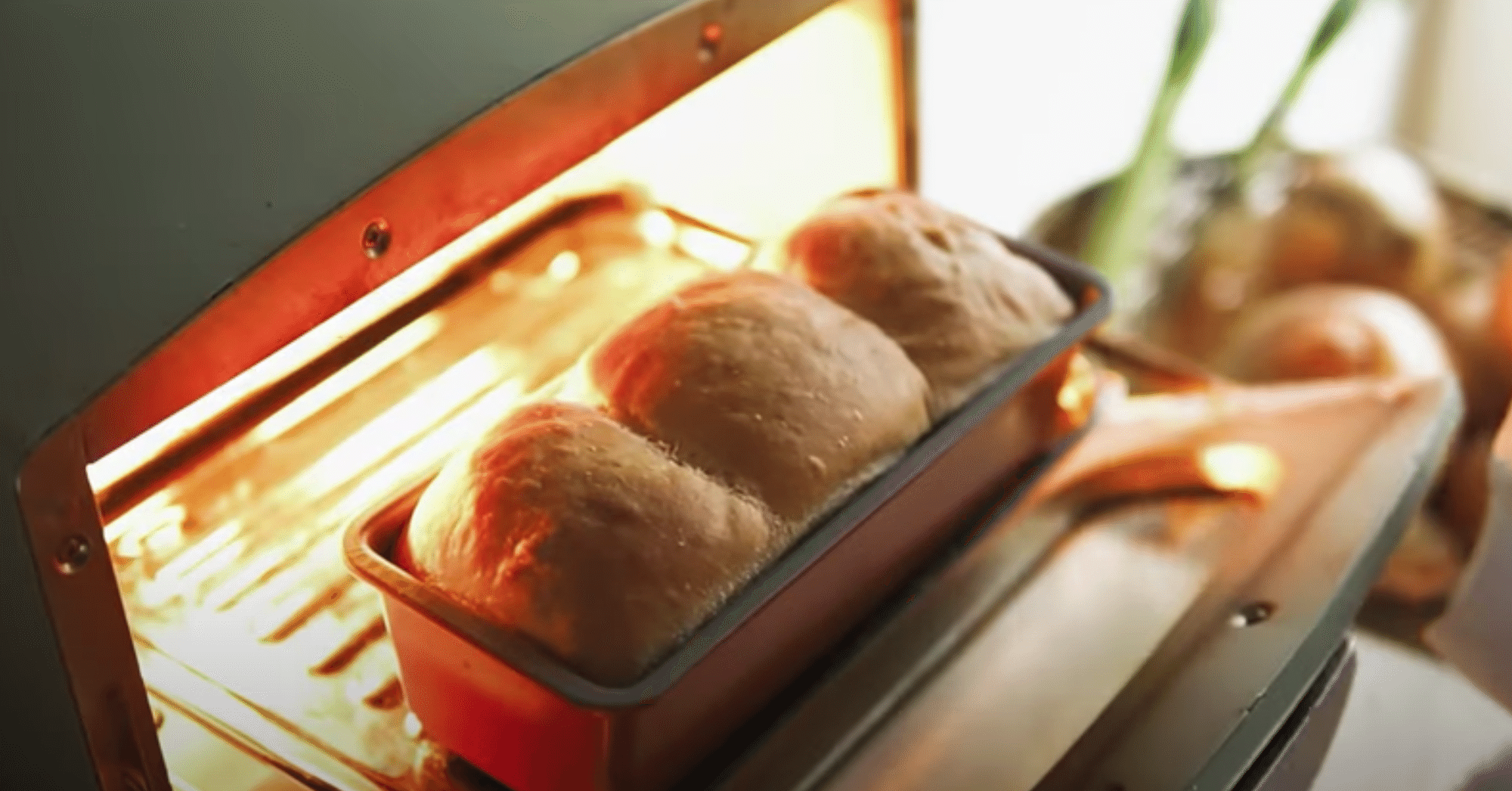 レシピ スペルト小麦の食パン 柴田愛里沙 北海道の食べ物と暮らし たまに猫 Note レシピ スペルト小麦の食パン 柴田愛里沙 北海道の食べ物と暮らし たまに猫 Note