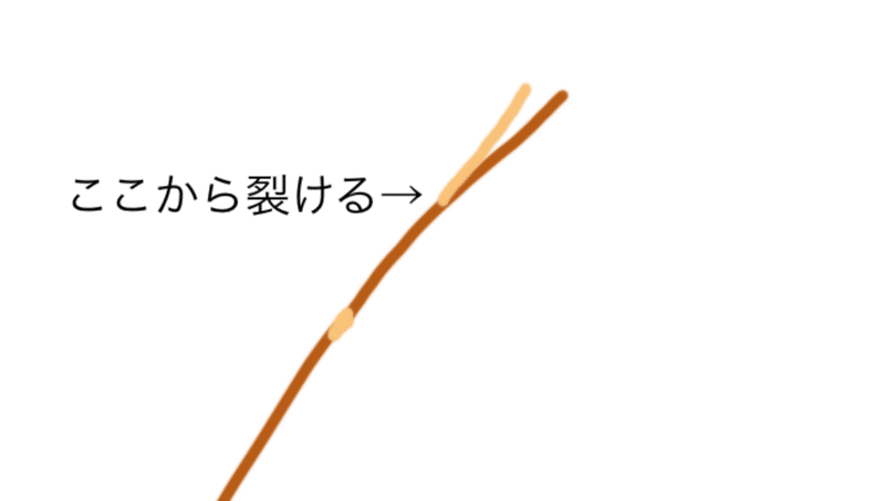 本気枝毛のメンタルダメージやばい つきの Note 本気枝毛のメンタルダメージやばい つきの Note