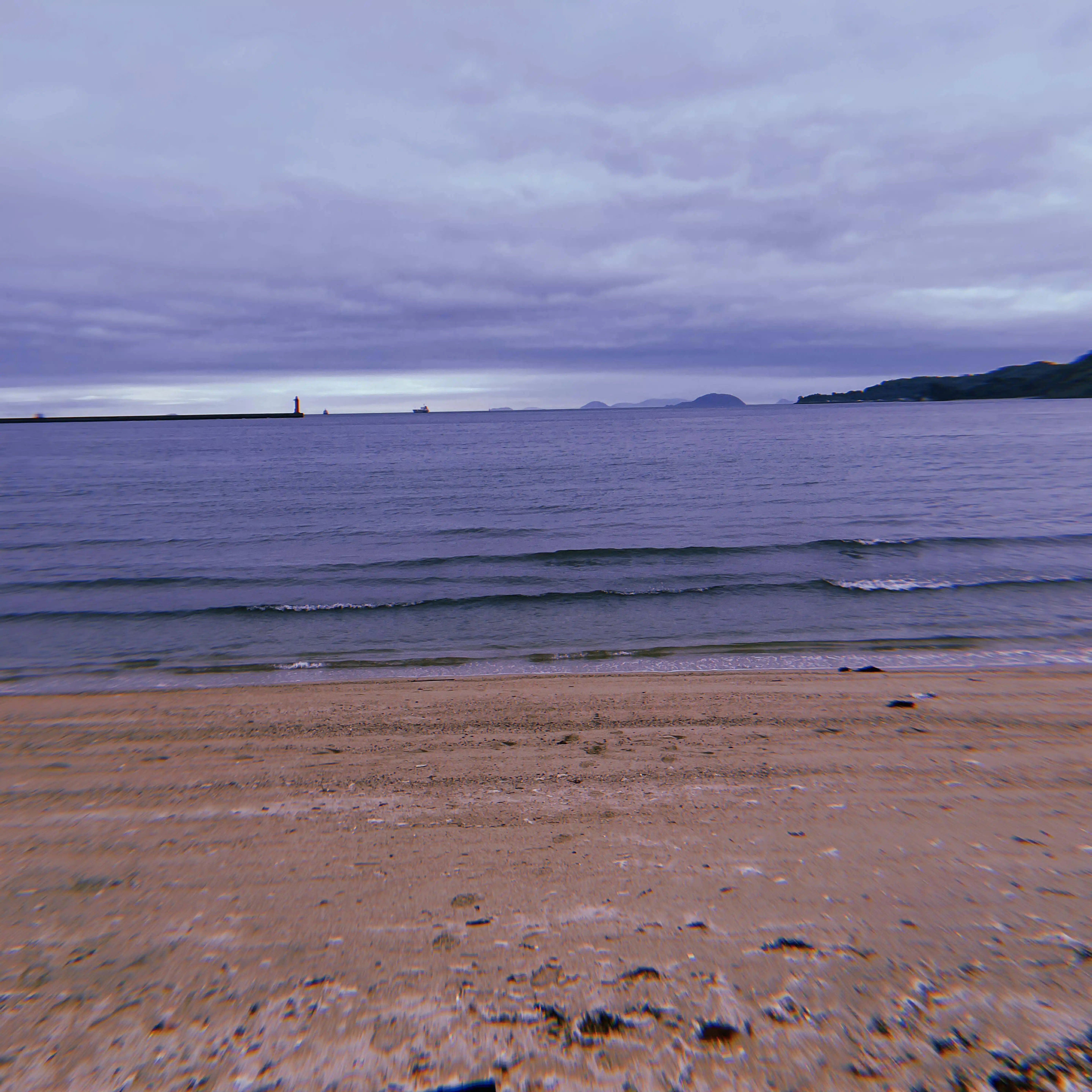 副島 鮬