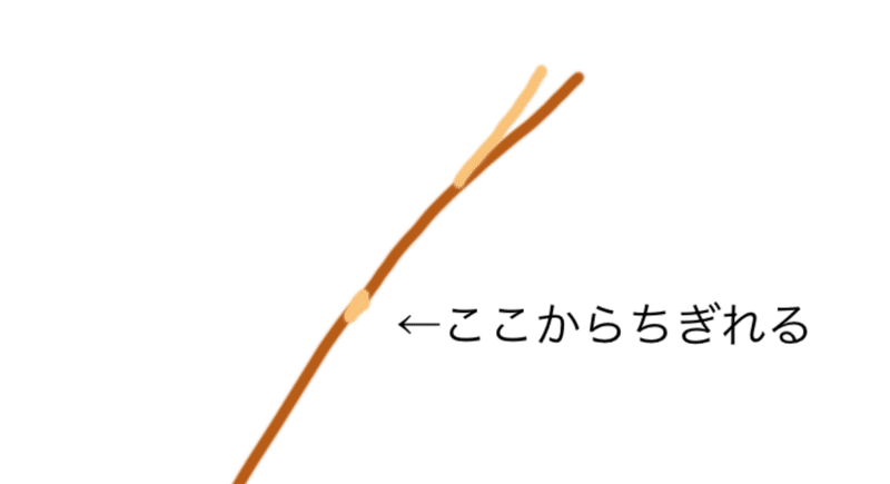 本気枝毛のメンタルダメージやばい つきの Note