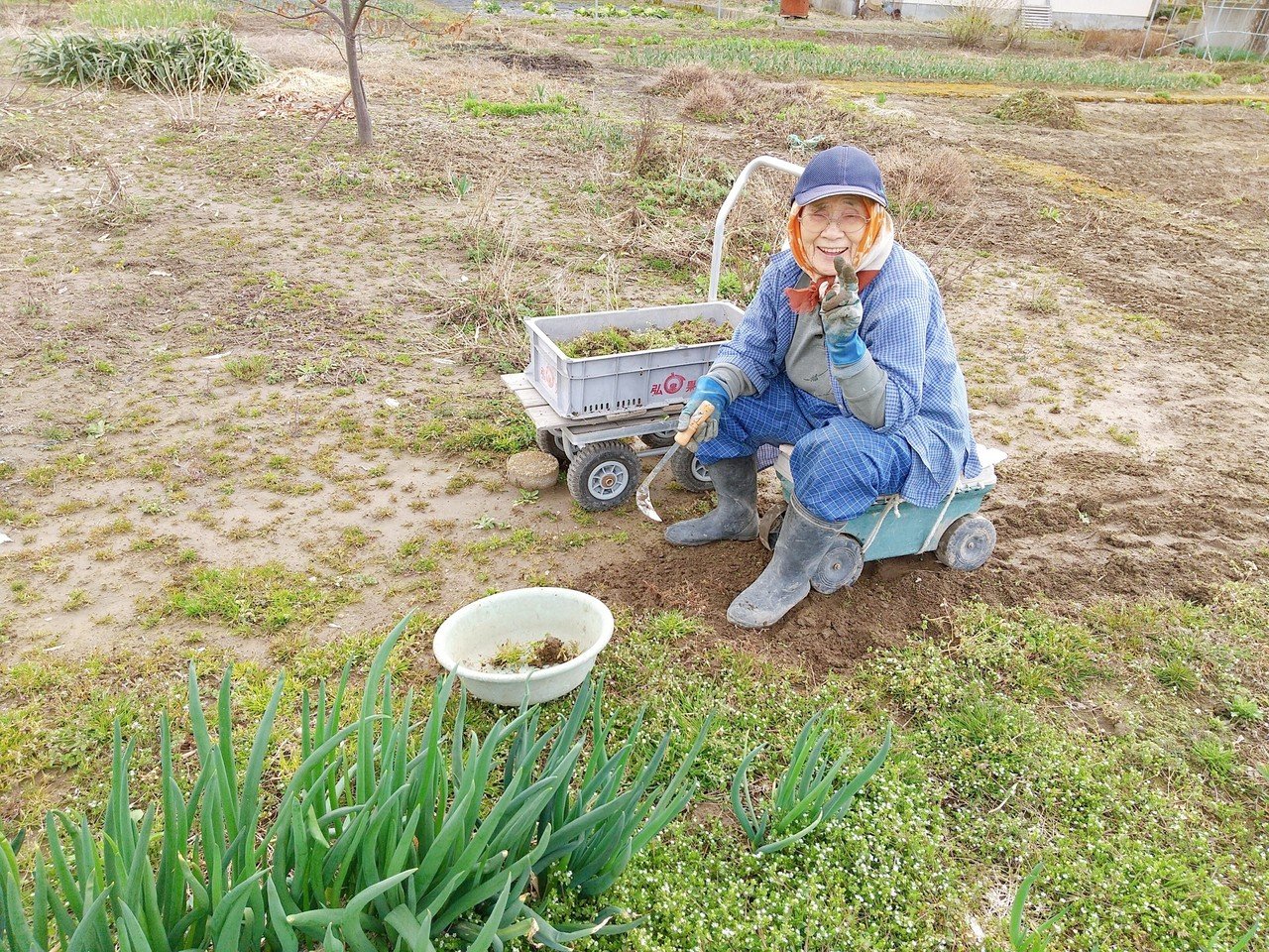 うちのバッチャ 91歳ですが まだまだ畑仕事に精を出していますドグ W 草取りは毎年の仕事 今年は 畑できる人は畑にチャレンジするといいドグよ 畑で作物育てるって めっちゃ癒やされるドグ Switch 山田スイッチ Note