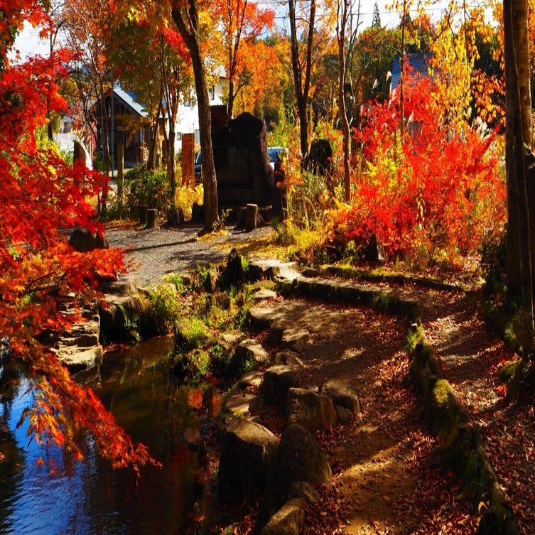 絶景の紅葉風景「ひるがの分水嶺公園」｜すすむ