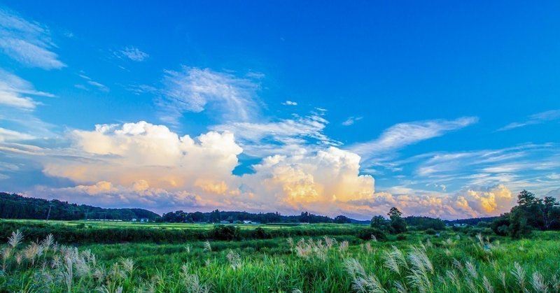 うつと私 受験とうつ病にもがいた高校三年の時 きりしま note