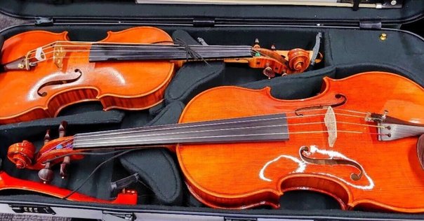 チェロ弦（Larsen Magnacore）レビュー｜こうめ