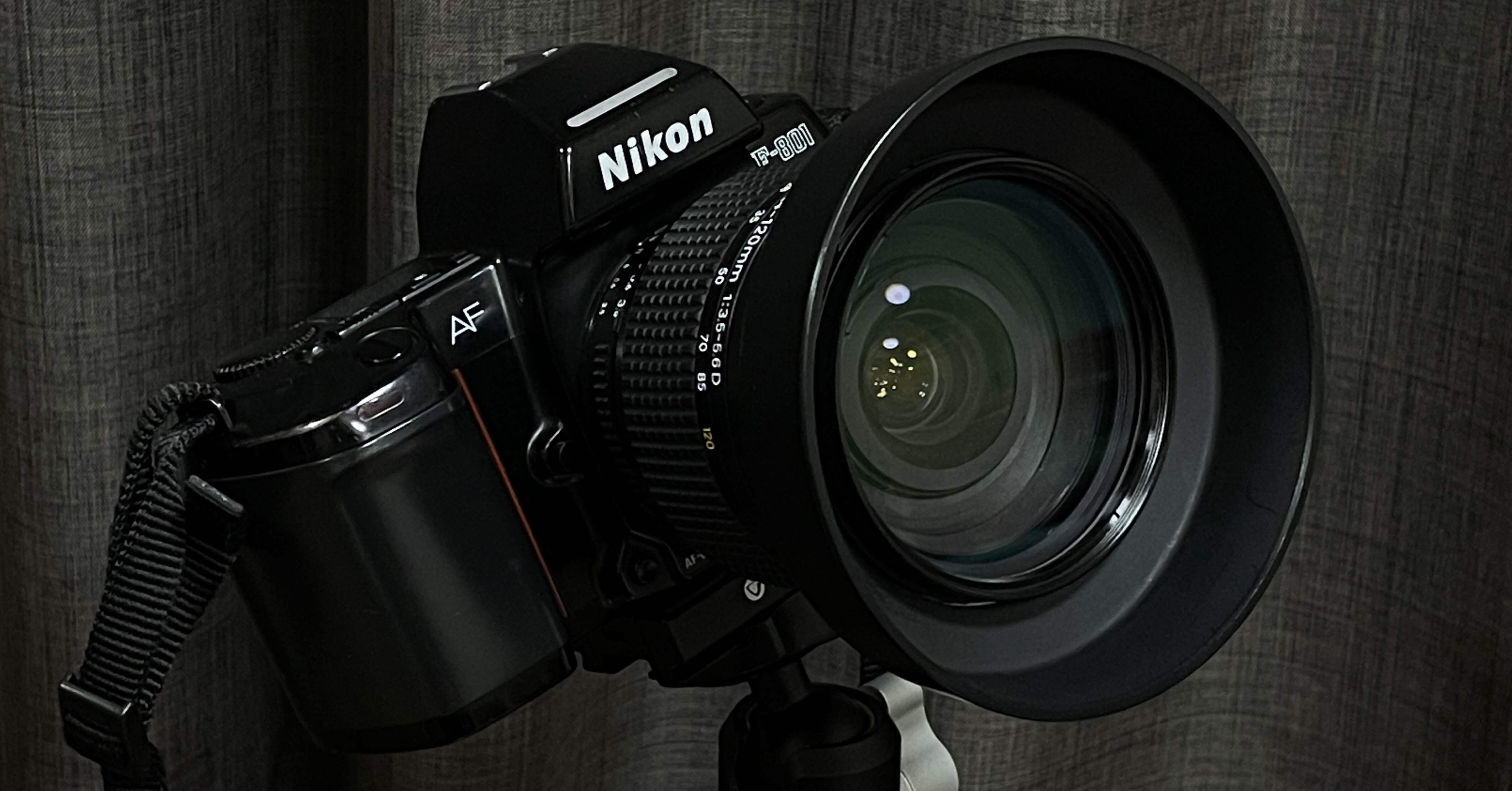 なぜNikonF-801を買うに至ったか〜フィルムカメラ散財記〜｜えねれす