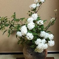 春眠 暁を覚えず しらも Note