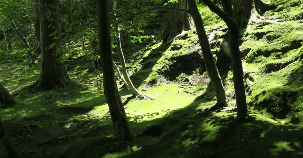 もののけ姫 #ジブリ #anime #scenery #aipainting #aiart #wallpaperaesthetic #wa... |  TikTok, image size:1280x670
