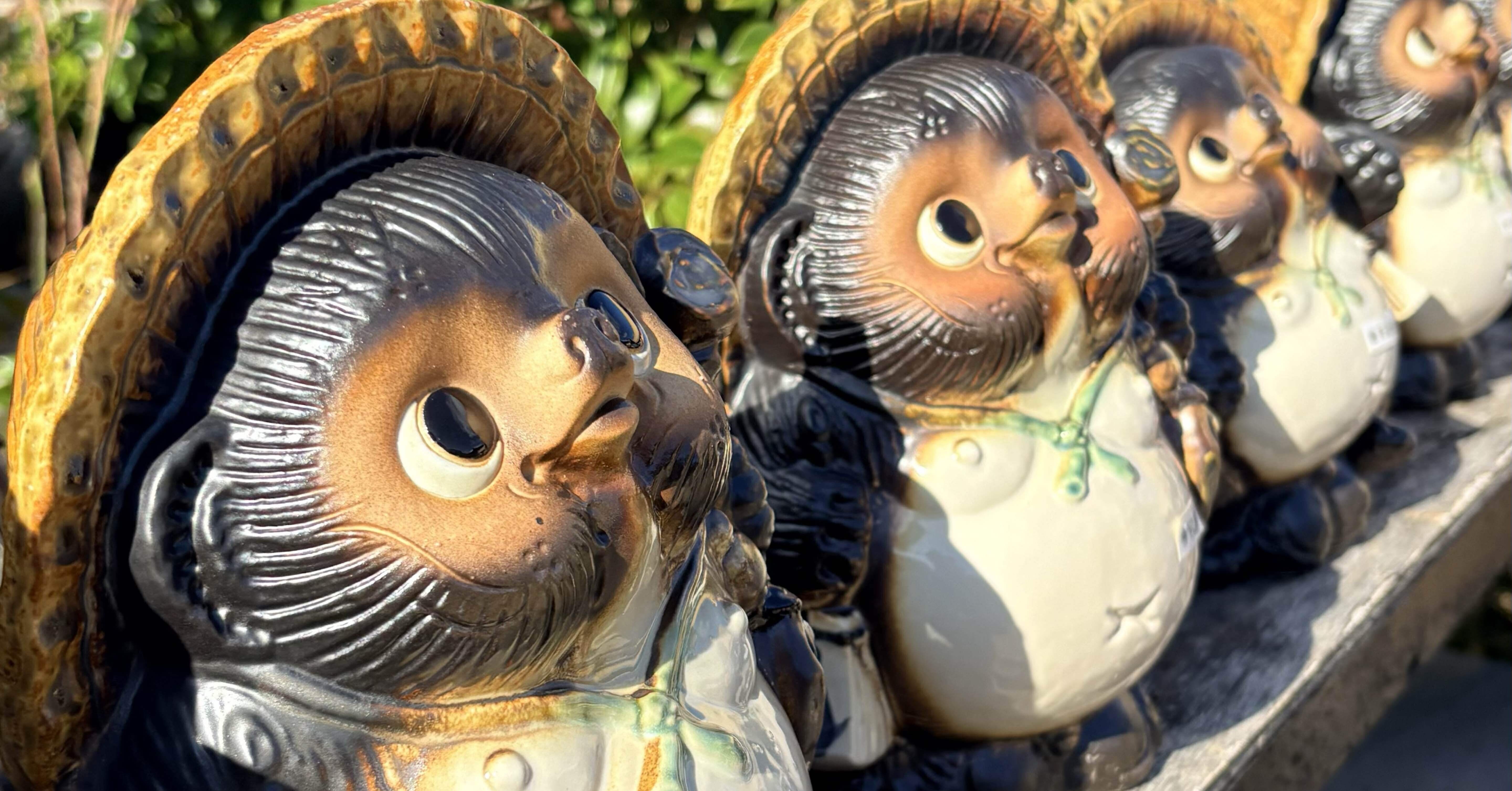 設楽たぬき｜ビキトル