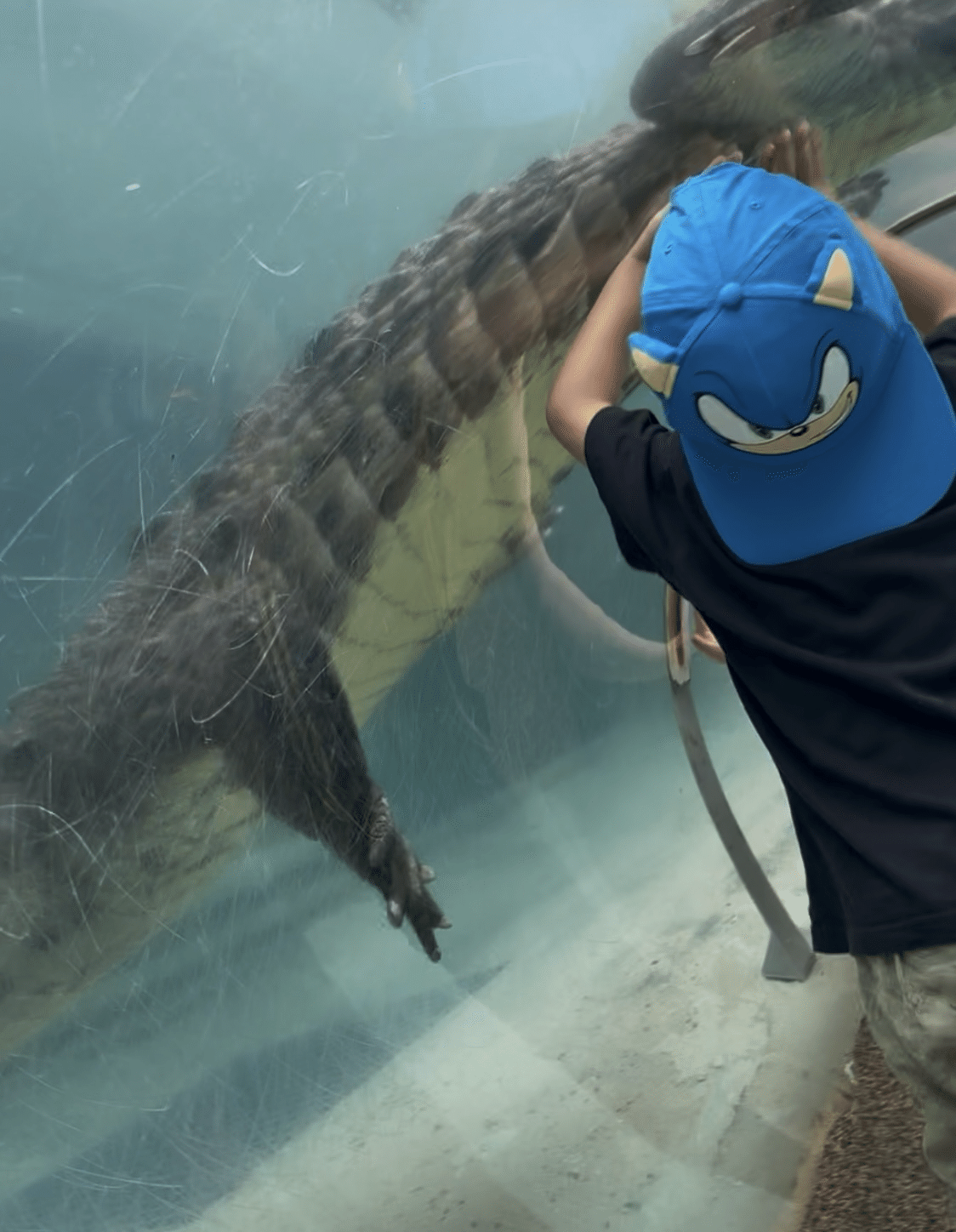 ワニの腹を見上げる休日（フロリダDay108）｜Sui