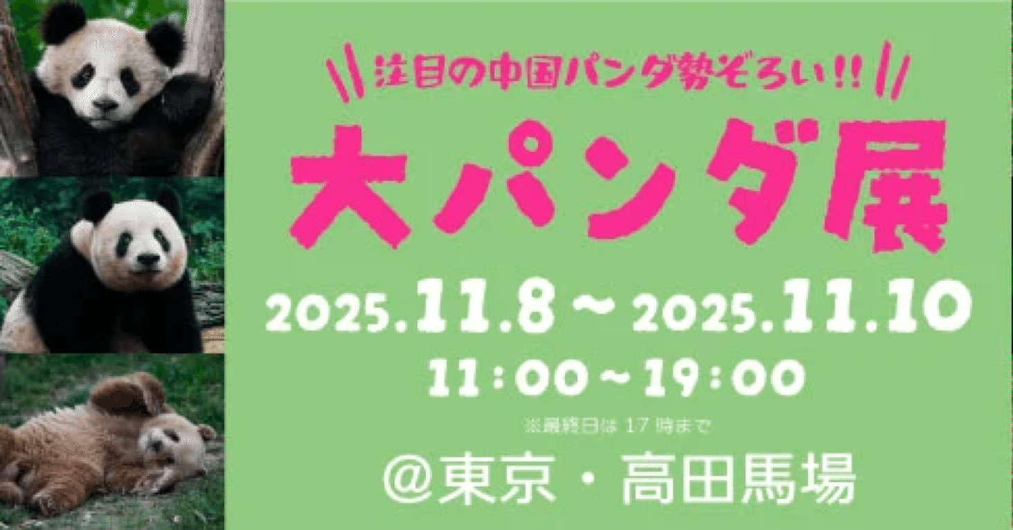 11月8日(金)〜10日(月)までJMFビル高田馬場で「大パンダ展」が開催