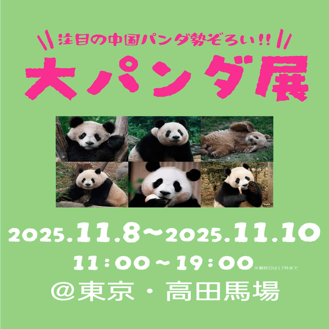11月8日(金)〜10日(月)までJMFビル高田馬場で「大パンダ展」が開催