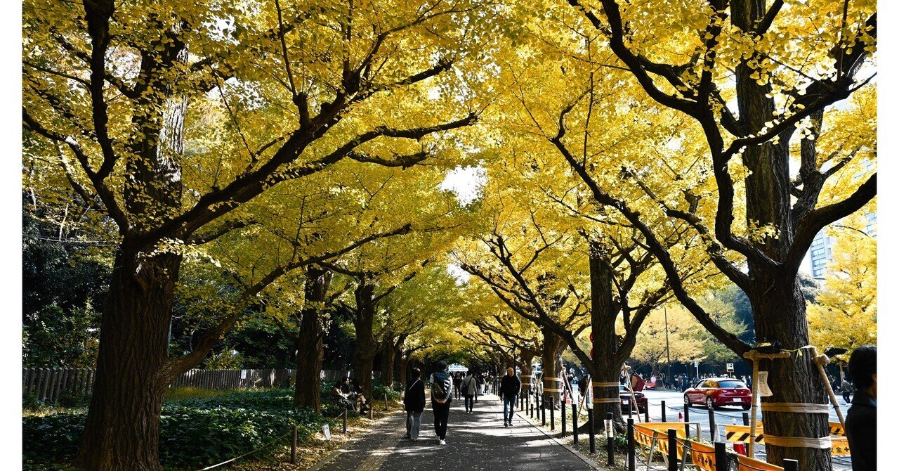 Nikon Z6Ⅱ｜秋の東京｜銀杏並木@神宮外苑｜小鳥遊悠人
