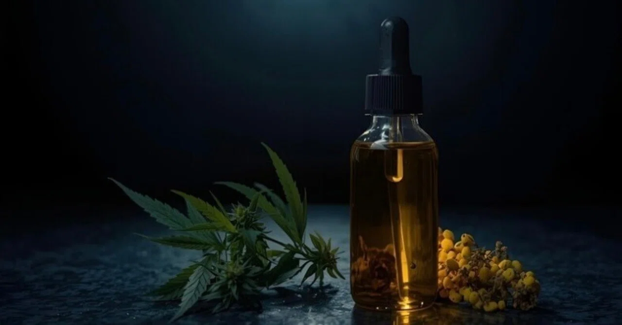 The Science of Restorative Sleep: In the Silence of the Night, the Body ...