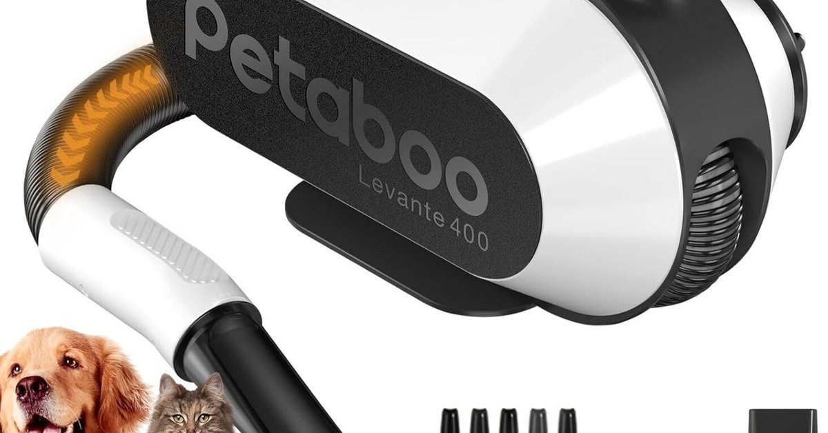 愛犬のための最高のパートナー！Petabooペットドライヤーの魅力とは