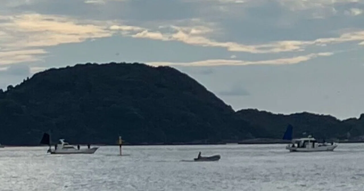 Kutsuna Drops Episode 641: A Mysterious Jinx About Fishing Trips I ...