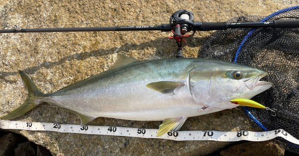 ダイワ PRESSO AIR AGS 510XUL｜釣り好きおじさん