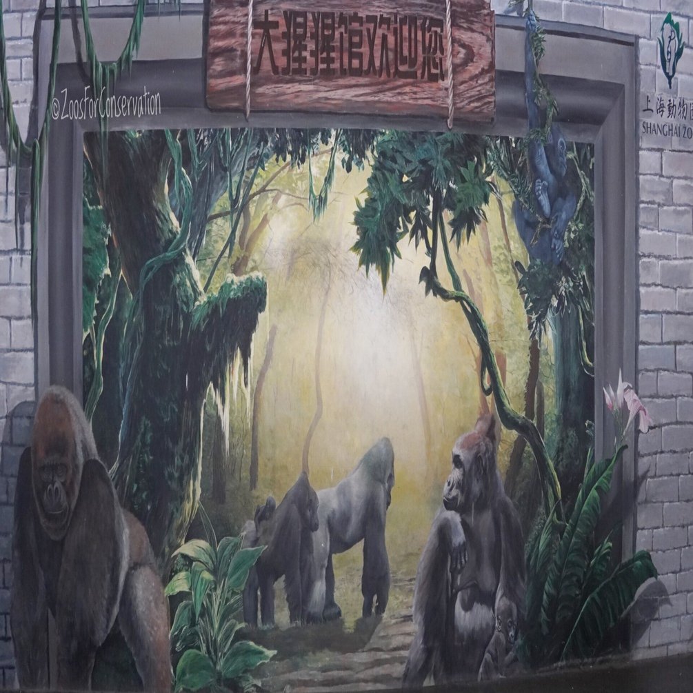 Shanghai Zoo 202511d1｜Zoos For Conservation